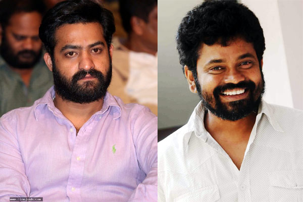 jr ntr,sukumar,rakul preet singh,nannaku prematho,ratnavelu,bvsn prasad  ఎన్టీఆర్ కొత్త సినిమా కబుర్లు!